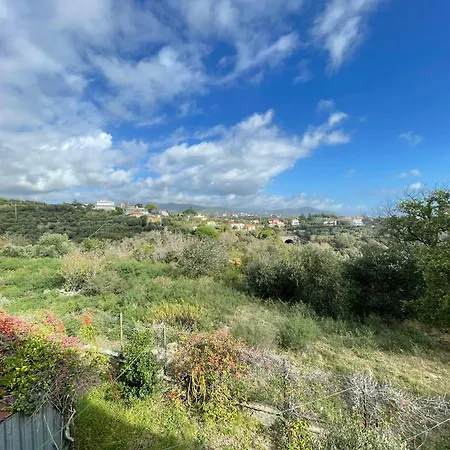 Peaceful In Nature, Near The Sea