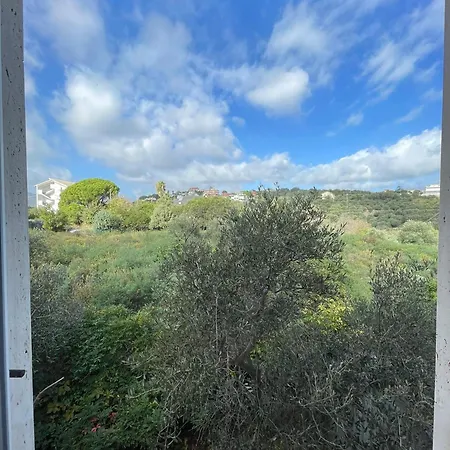 Peaceful In Nature, Near The Sea 別荘